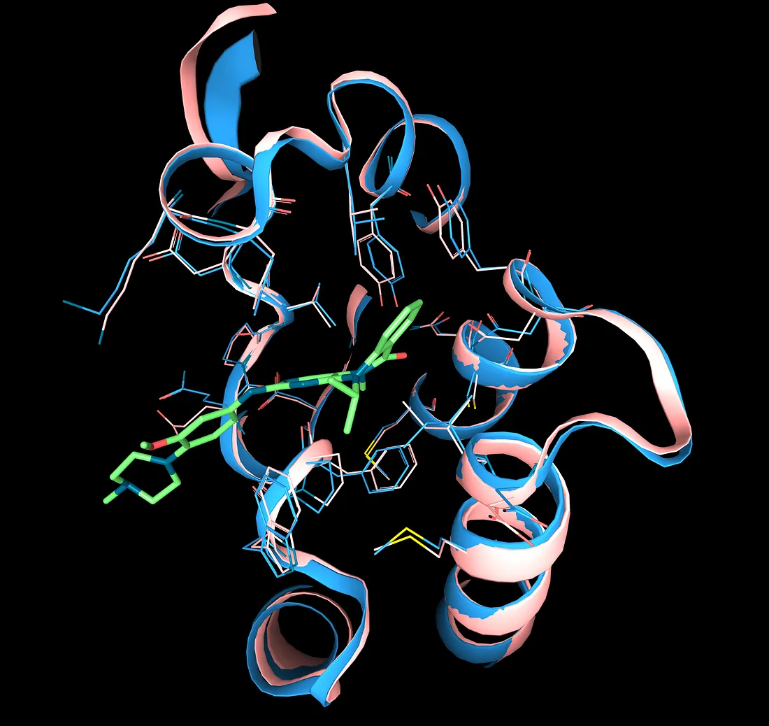 Protein Structure